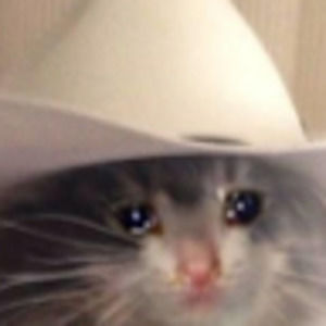 Meet your Posher, Rory